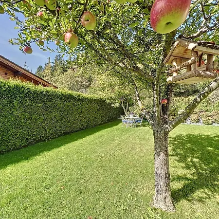 Chalet Niva Crans-Montana