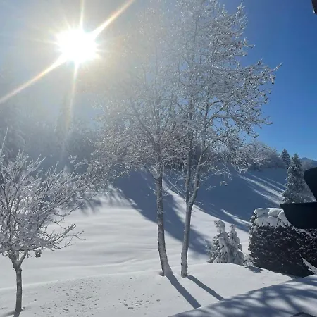 Niva Chalet *